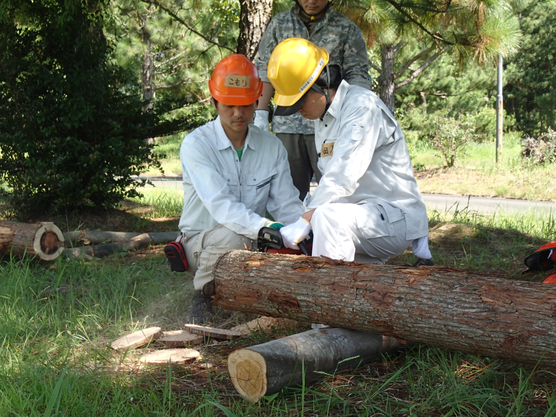 【〆切ました】平成28年度 福岡県森林づくり活動安全講習会